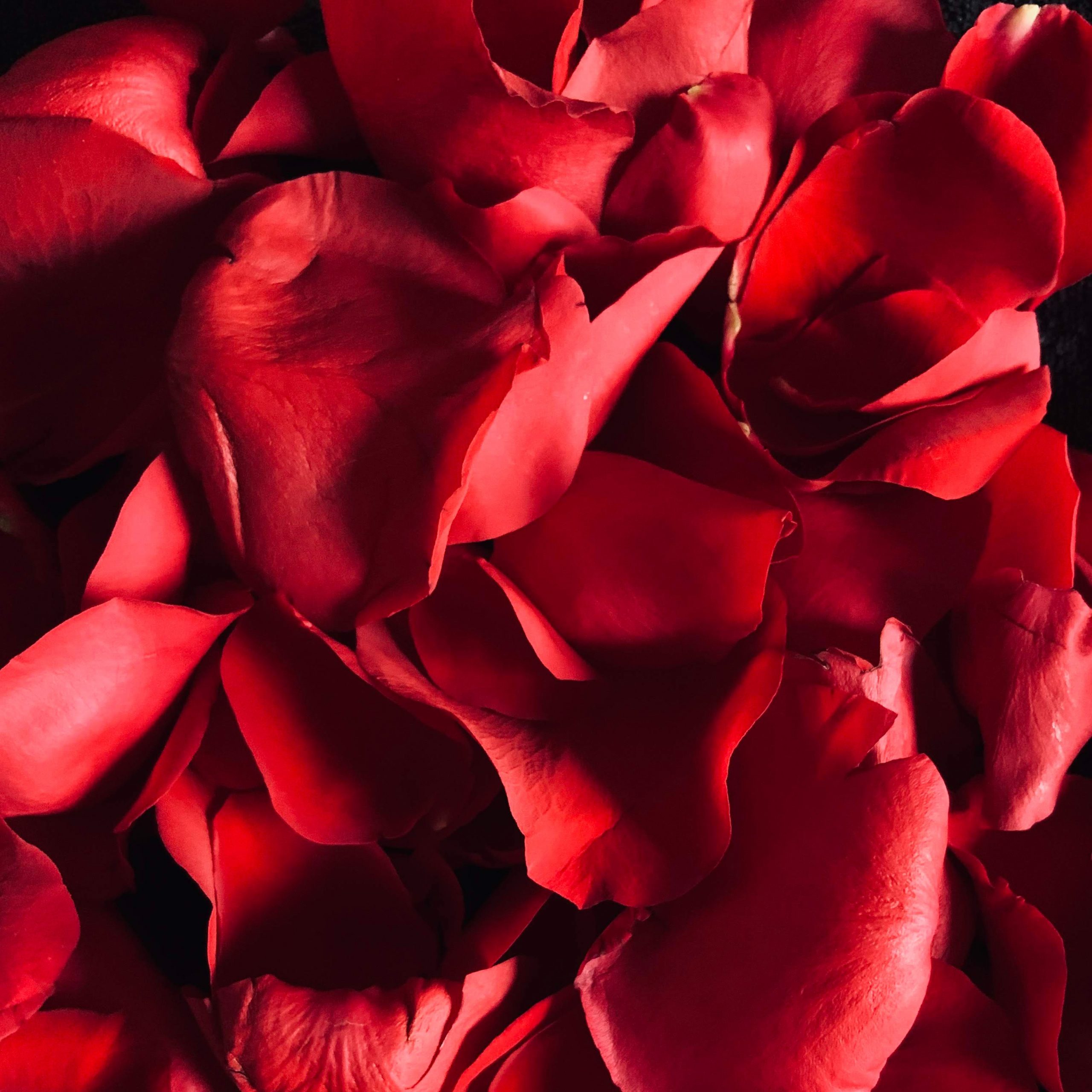 Photo by René Porter on Unsplash